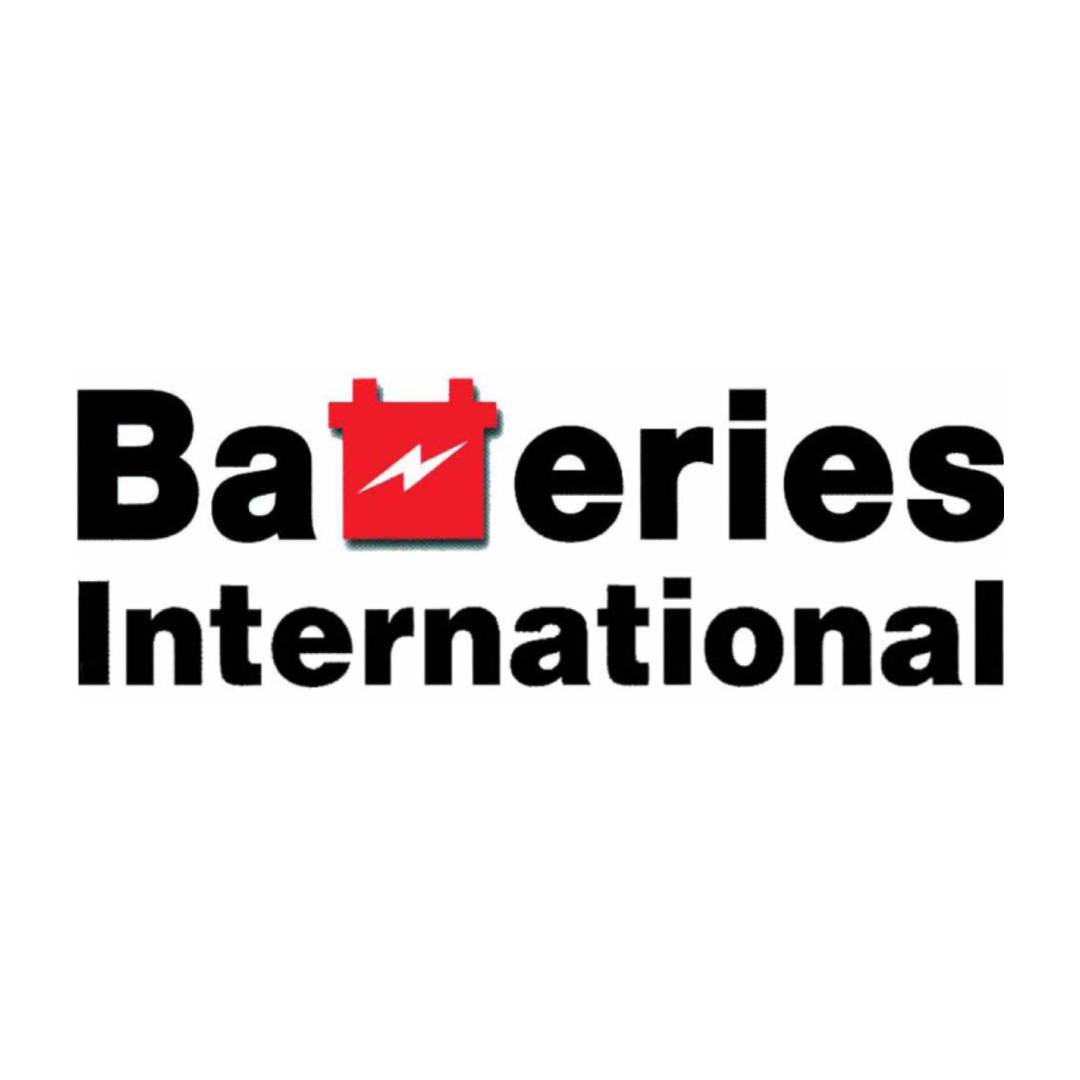 professionalnoe-soobshhestvo-prokommentirovalo-stroitelstvo-akkumulyat